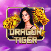 Dragon Tiger nustar apk games