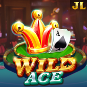 Wild Ace nustar apk login